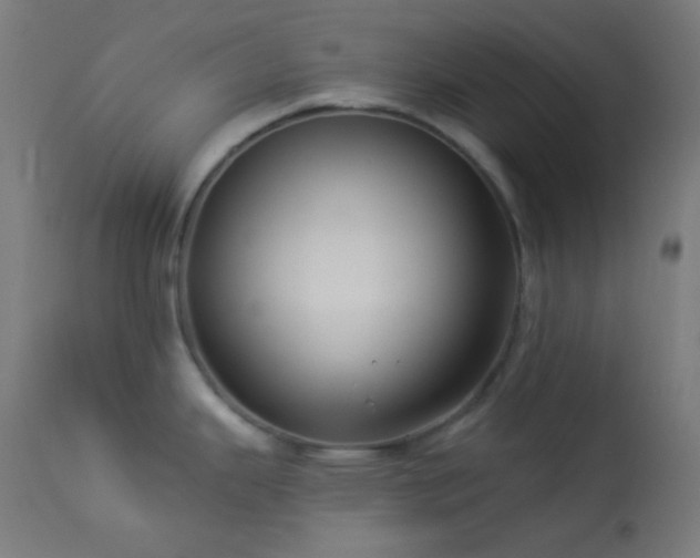 X0000114181343200910081450