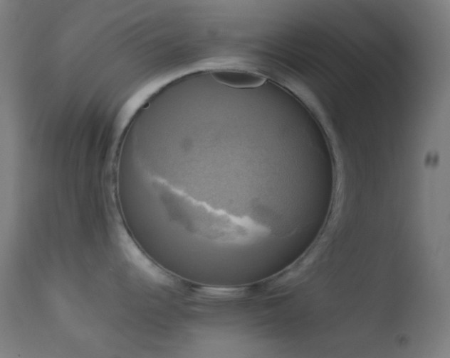 X0000114181344200910081450