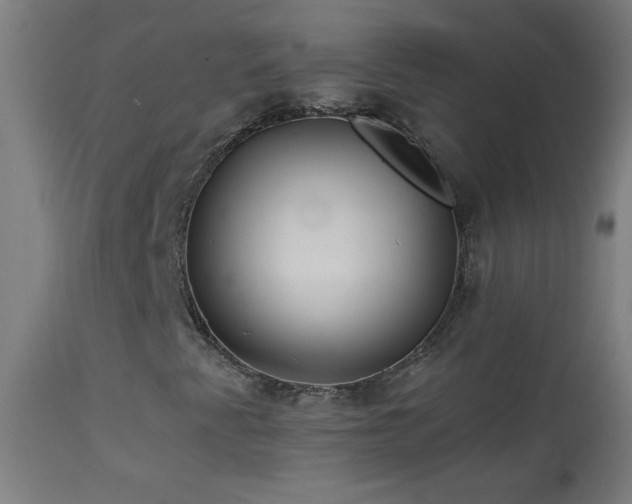 X0000114181345200910081449