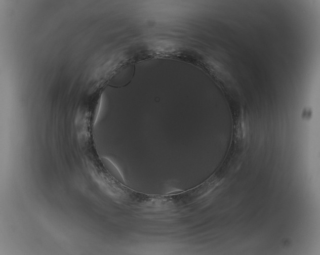 X0000114181346200910081449