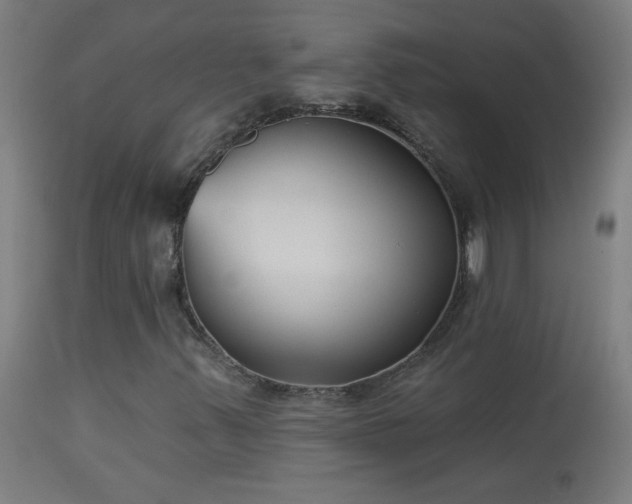 X0000114181347200910081449