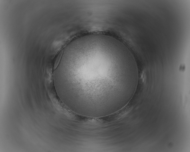 X0000114181348200910081449