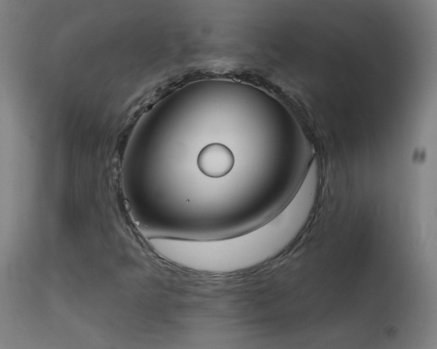 X0000114181349200910081449
