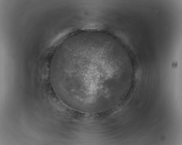 X0000114181350200910081449