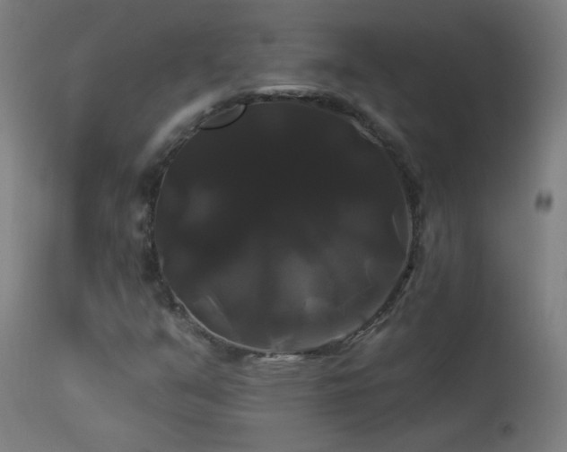 X0000114181351200910081449
