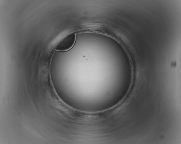 X0000114181354200910081449