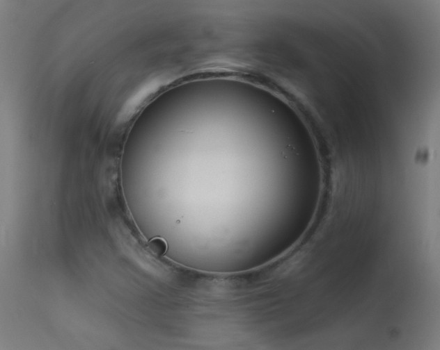 X0000114181355200910081449
