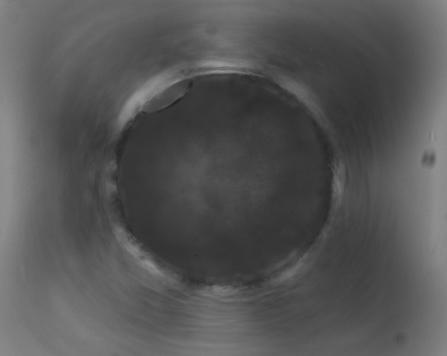 X0000114181357200910081449