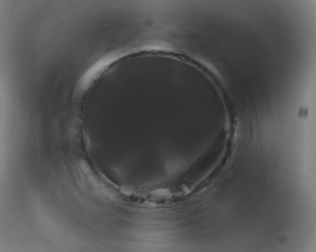 X0000114181359200910081449