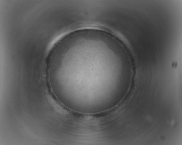 X0000114181360200910081449