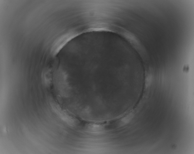 X0000114181361200910081449