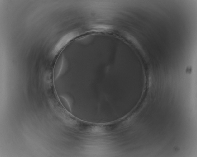 X0000114181362200910081449