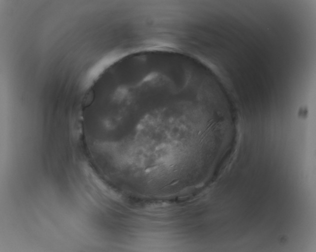 X0000114181363200910081449