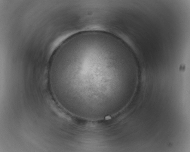 X0000114181364200910081449