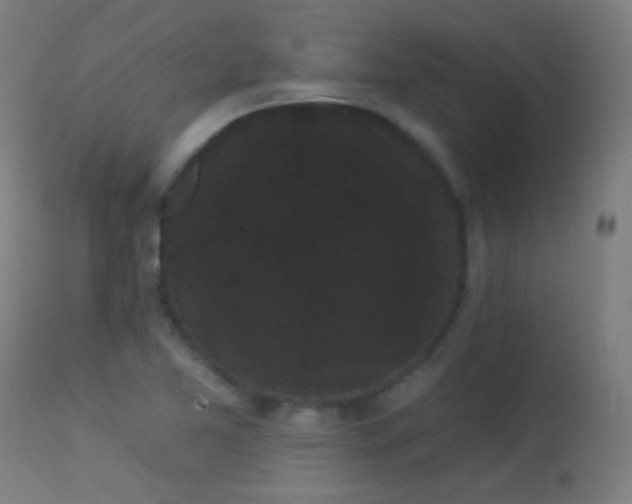X0000114181365200910081449