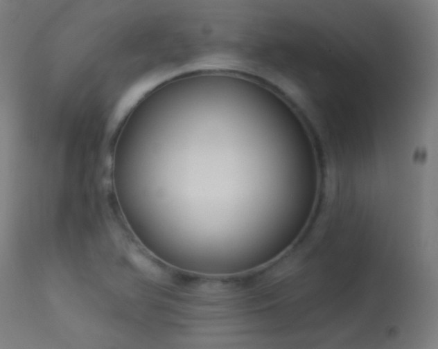 X0000114181366200910081449