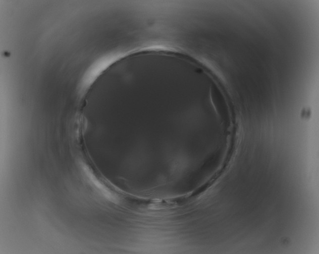 X0000114181367200910081449