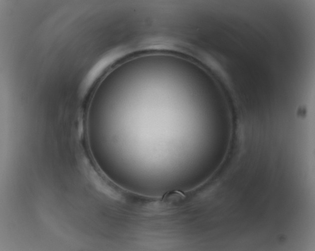 X0000114181368200910081449