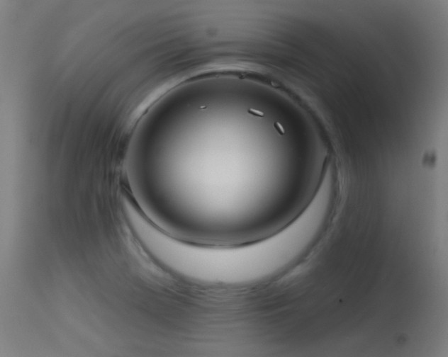 X0000114181369200910081449