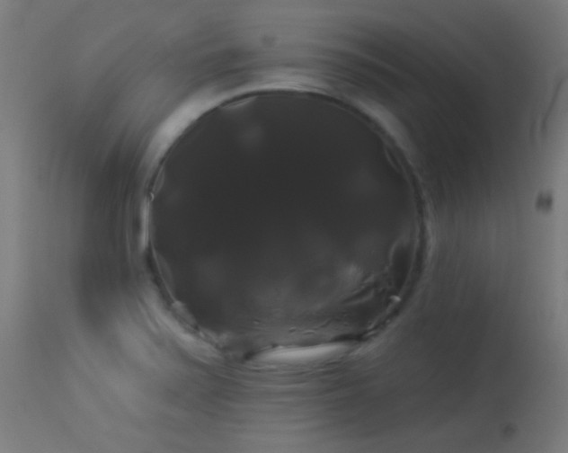 X0000114181371200910081449