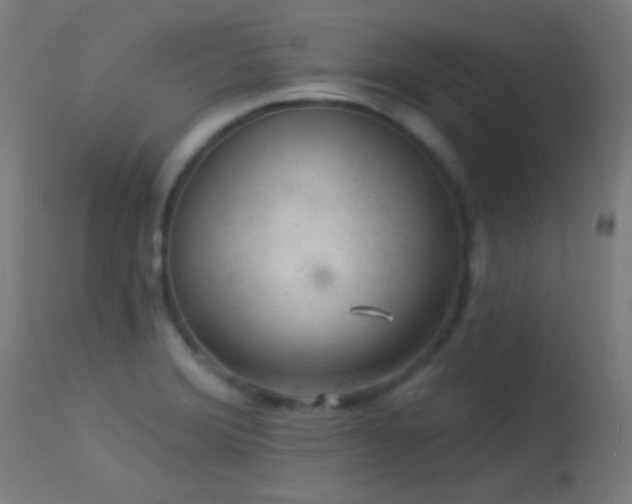 X0000114181372200910081449