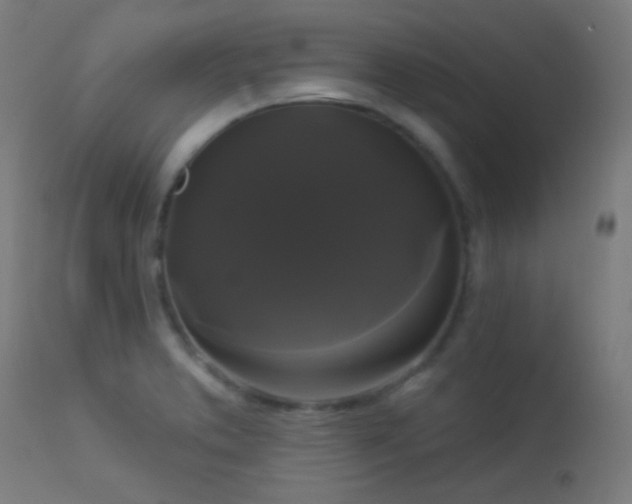 X0000114181373200910081449