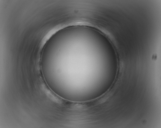 X0000114181374200910081449