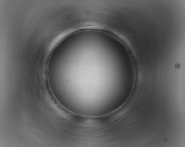 X0000114181375200910081449