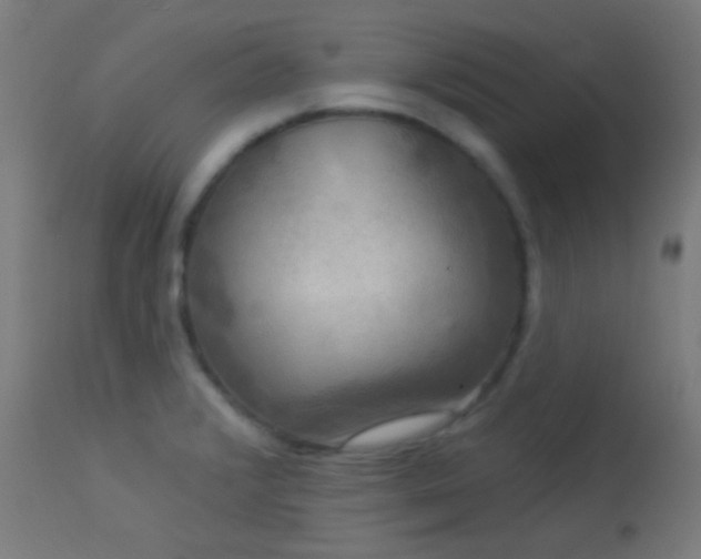 X0000114181376200910081449