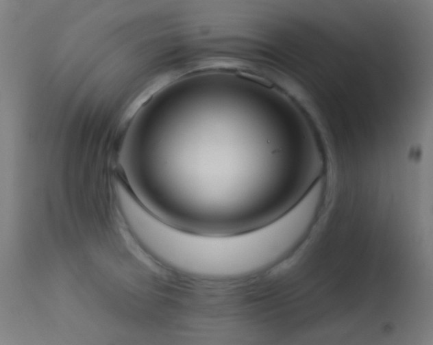 X0000114181377200910081449