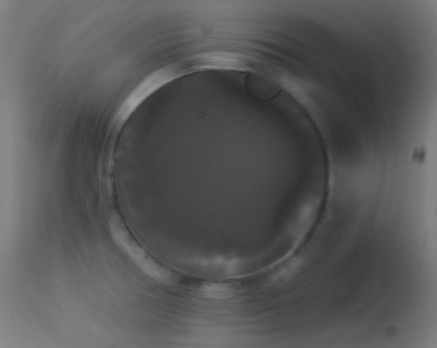 X0000114181378200910081449