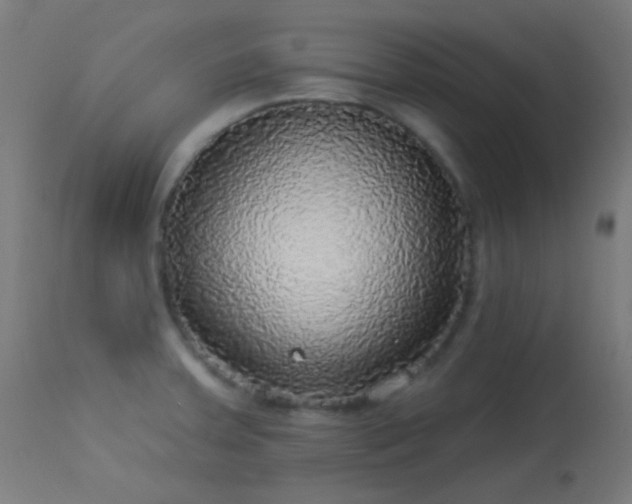 X0000114181379200910081449