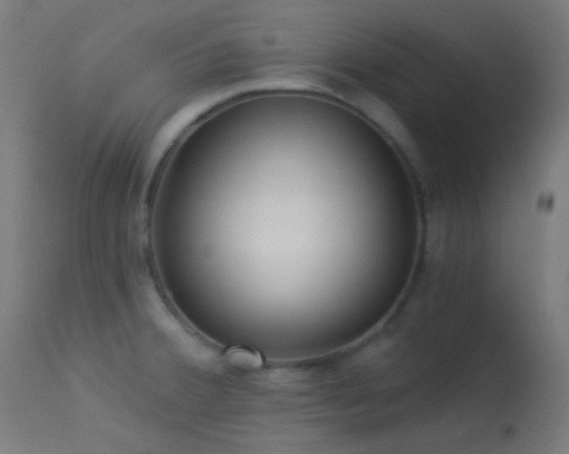 X0000114181380200910081449