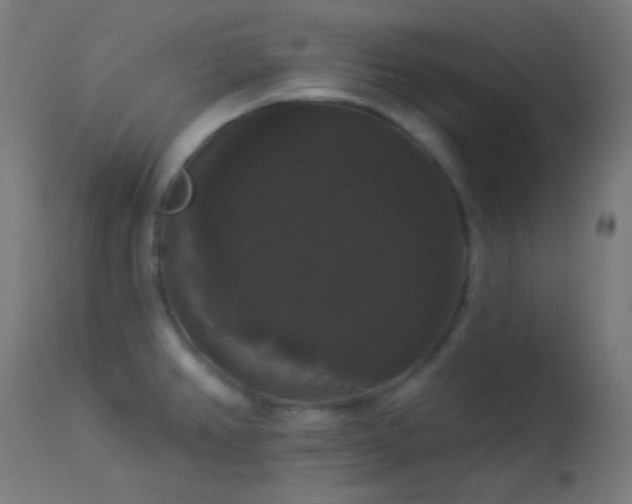 X0000114181382200910081449