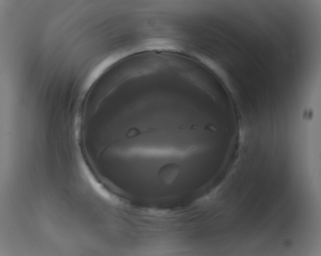 X0000114181383200910081449