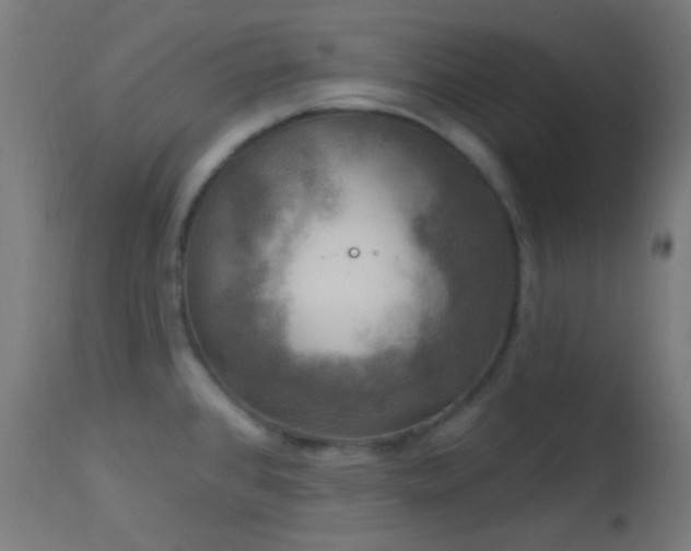 X0000114181384200910081449