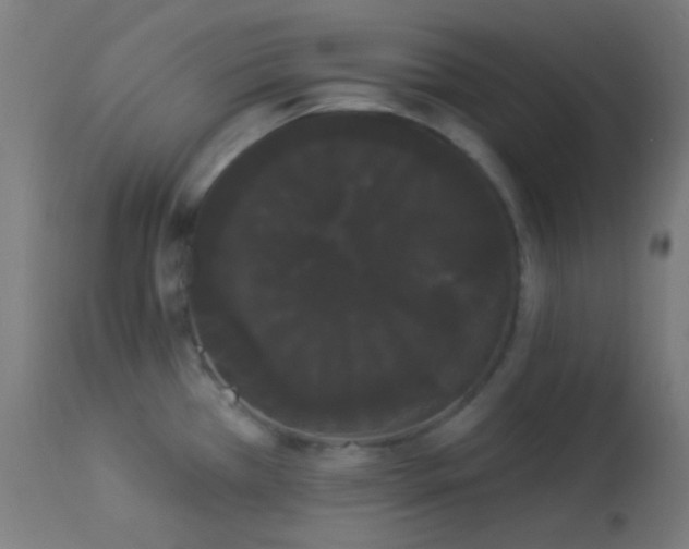 X0000114181385200910081449
