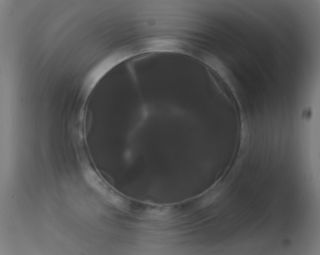 X0000114181386200910081449