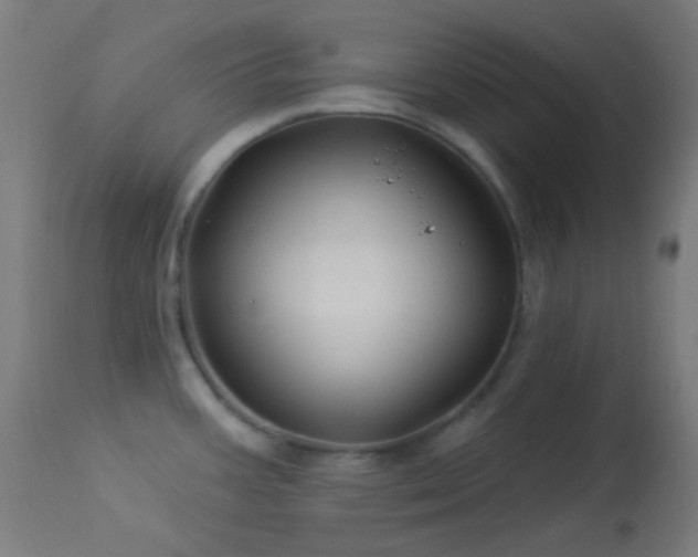 X0000114181387200910081449