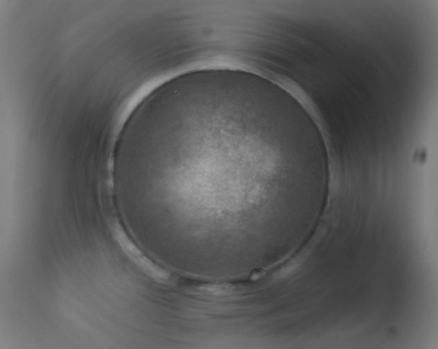 X0000114181388200910081449