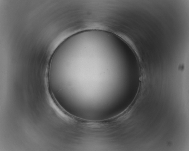 X0000114181391200910081449