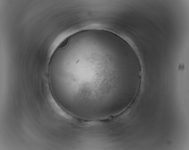 X0000114181392200910081449