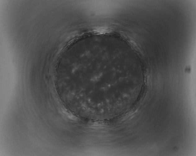 X0000114181393200910081448