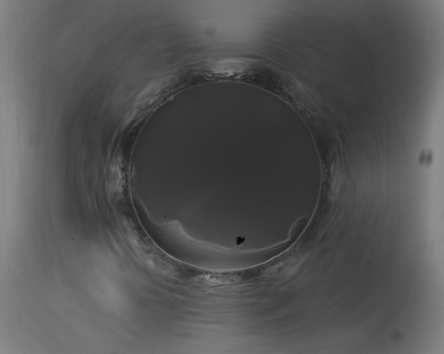X0000114181394200910081448