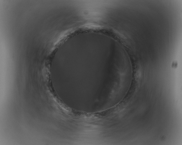 X0000114181397200910081448