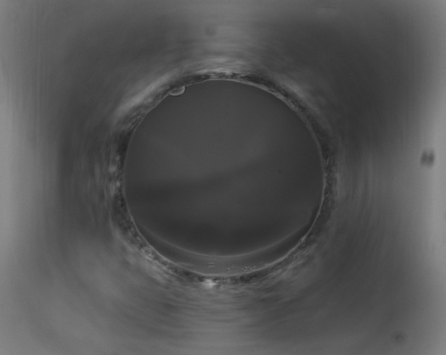X0000114181399200910081448