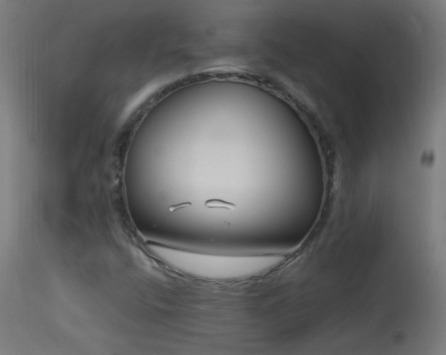 X0000114181400200910081448