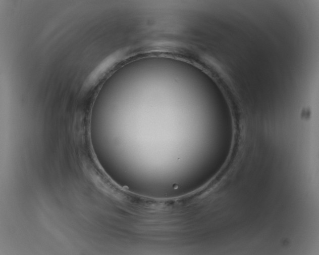 X0000114181403200910081448