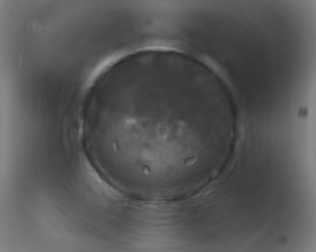 X0000114181408200910081448