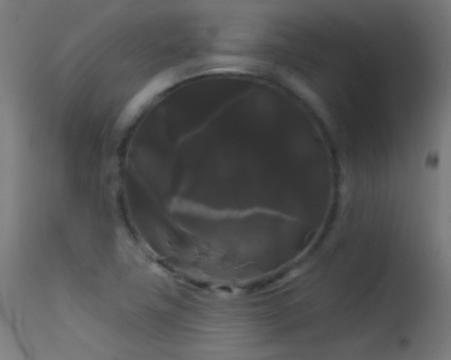 X0000114181411200910081448